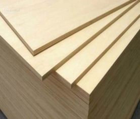 泰安市岱岳區綠博雅木業加工廠 高檔雙面木工板