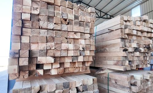 投資億元，新源添新綠——新疆新源縣現代化木材加工廠正式投產，引領木業高質量發展